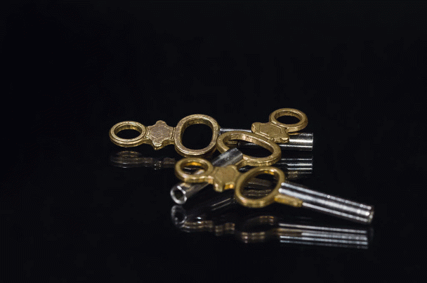 19 نکته کلیدی در آموزش طوطی برزیلی: از دستی کردن تا اجرای شیرین کاری