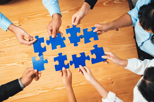 18 نکته کلیدی در تغذیه سگ ژرمن شپرد در طول زندگی