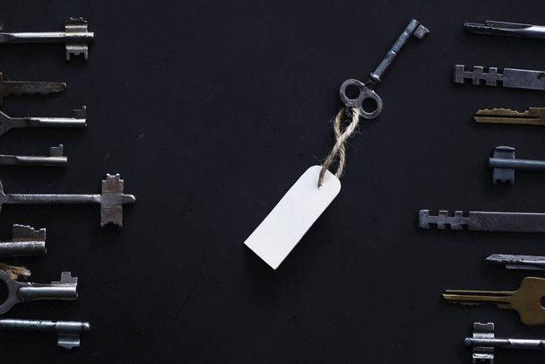 غذای توله سگ دو ماهه: راهنمای کامل