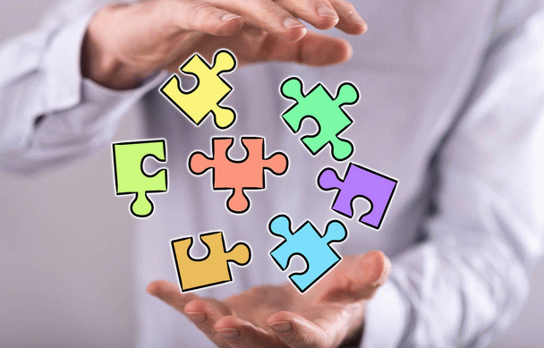 18 نکته طلایی برای تغذیه گربه باردار و شیرده